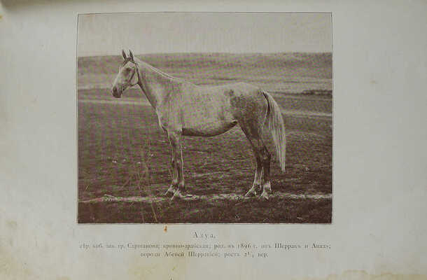 Щербатов, А.Г., Строганов, С.А. Книга об арабской лошади: С рис. лошадей и табл. пород. СПб., 1900.